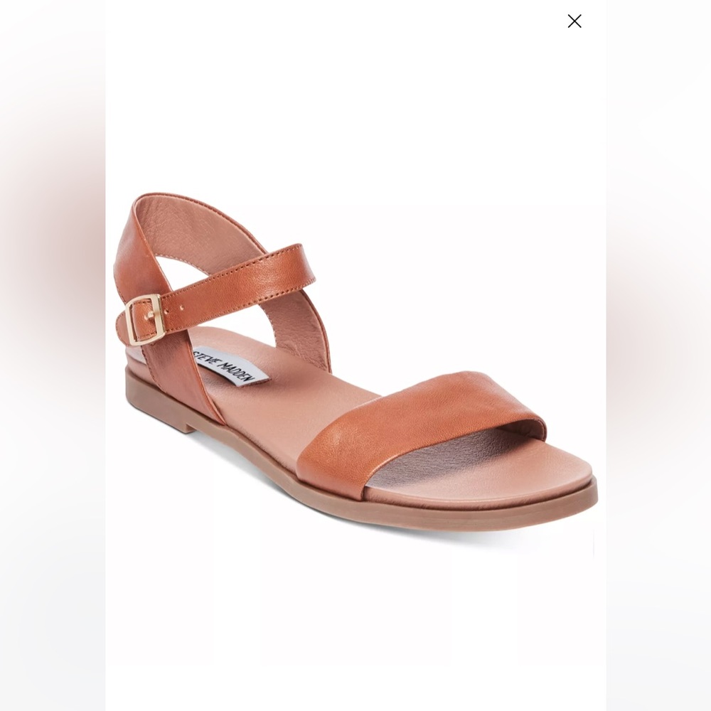 Dina Flat Sandals - Steve Madden